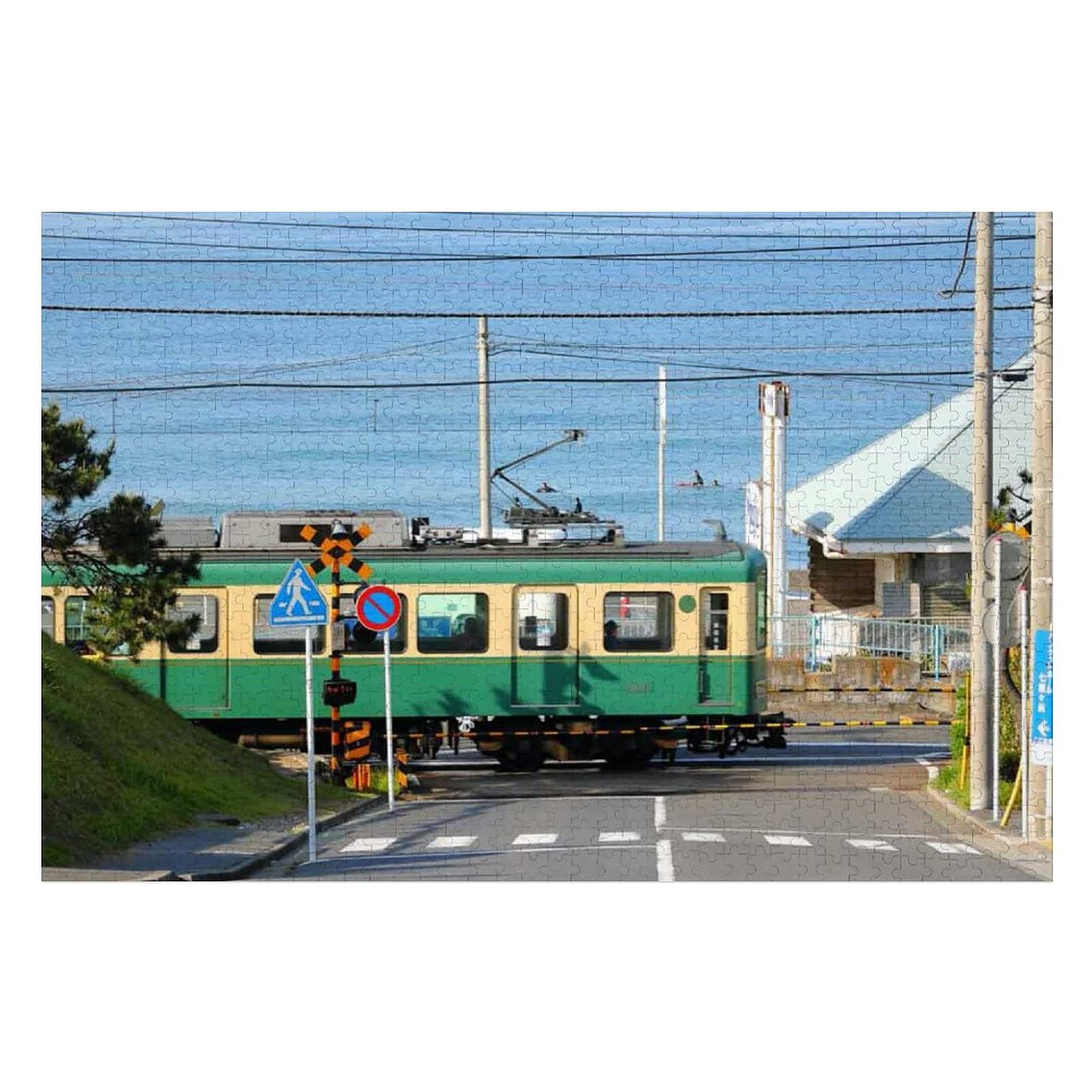 鎌倉パグ 鎌倉 パグカフェ | TikTok